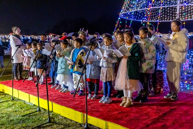 Winter Wonderland Scene