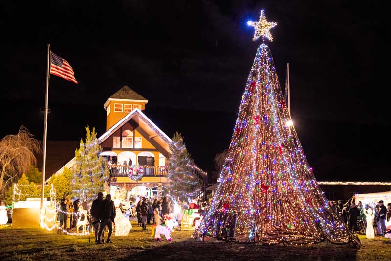 Families Enjoying the Festival